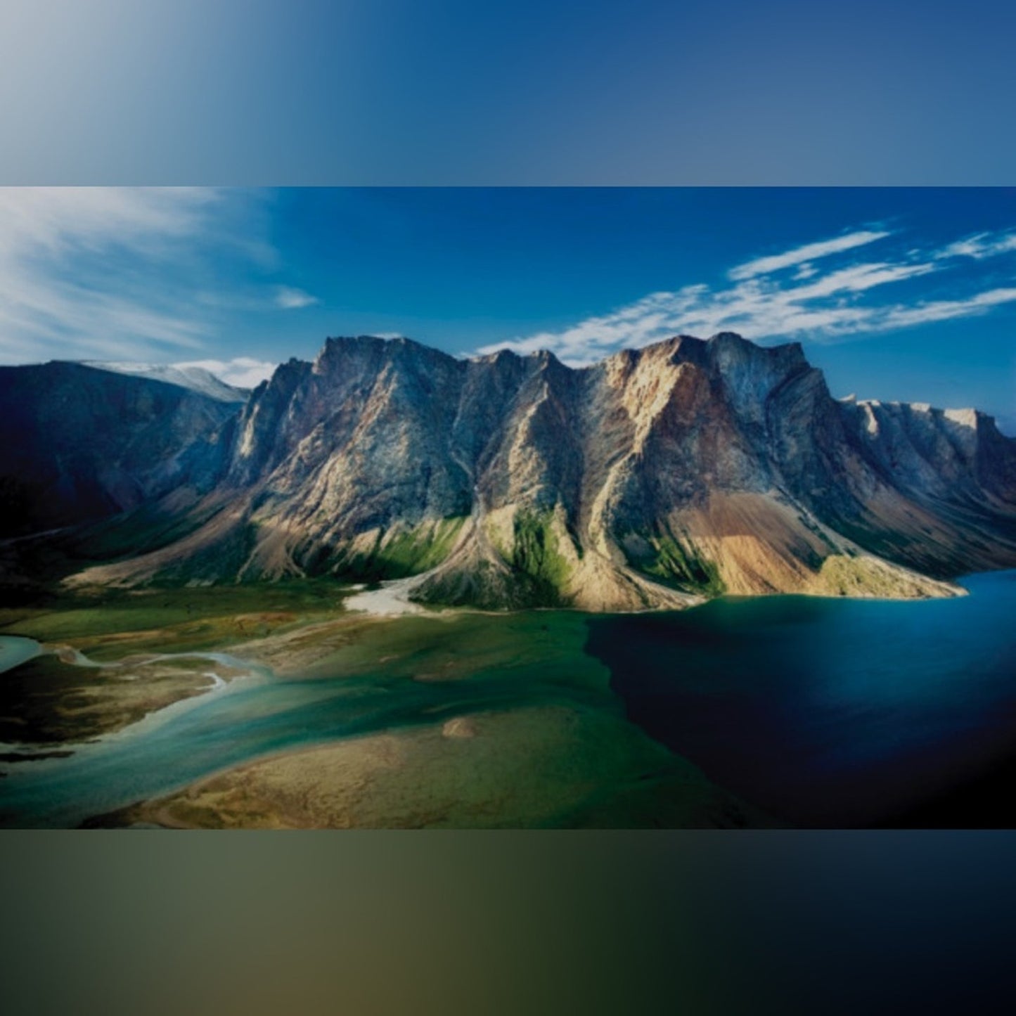 Labradorite with purple flash Butterfly with stand 🦋FREE SHIPPING 🌹🌹