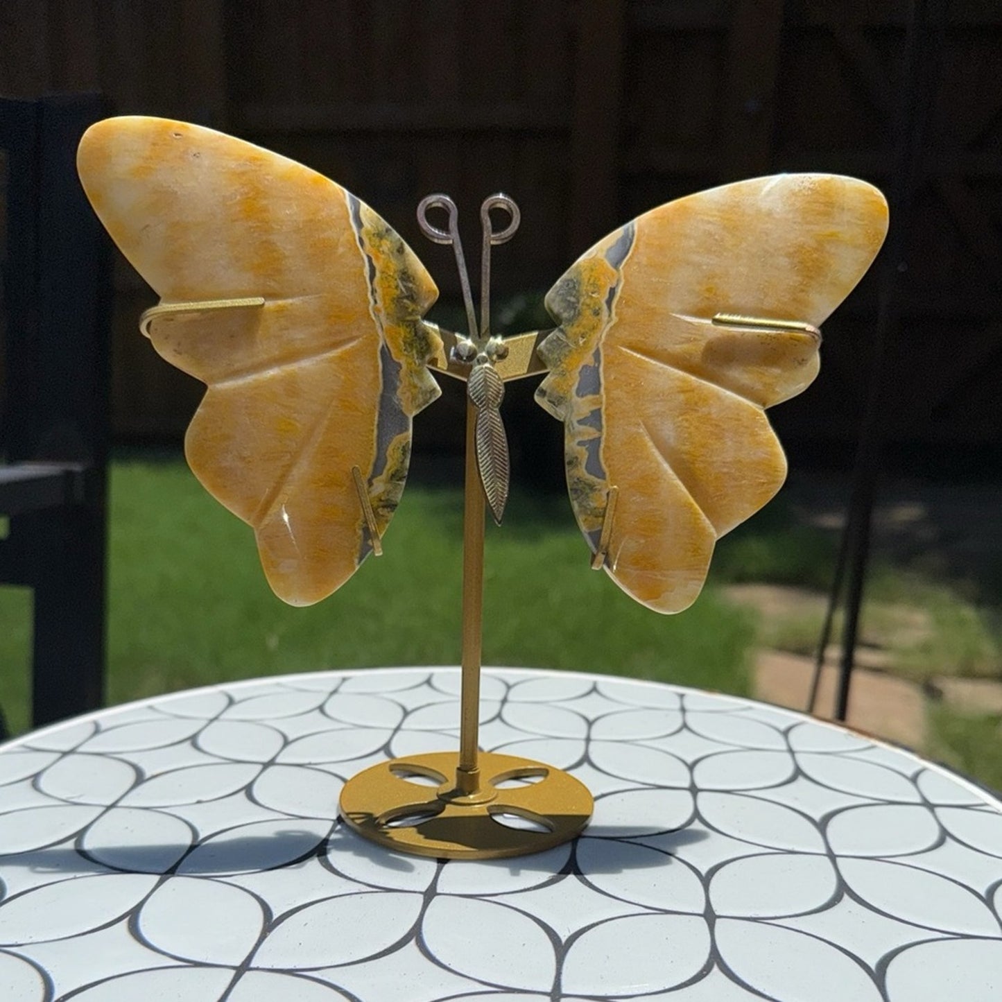 Bumblebee 🐝 Jasper (aka Bumblebee stone) Butterfly with stand 🦋