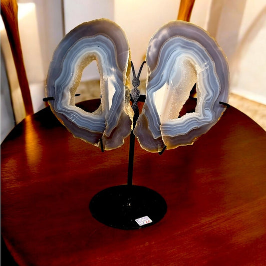 Blue Gray Agate Geode slice Butterfly on Black Stand