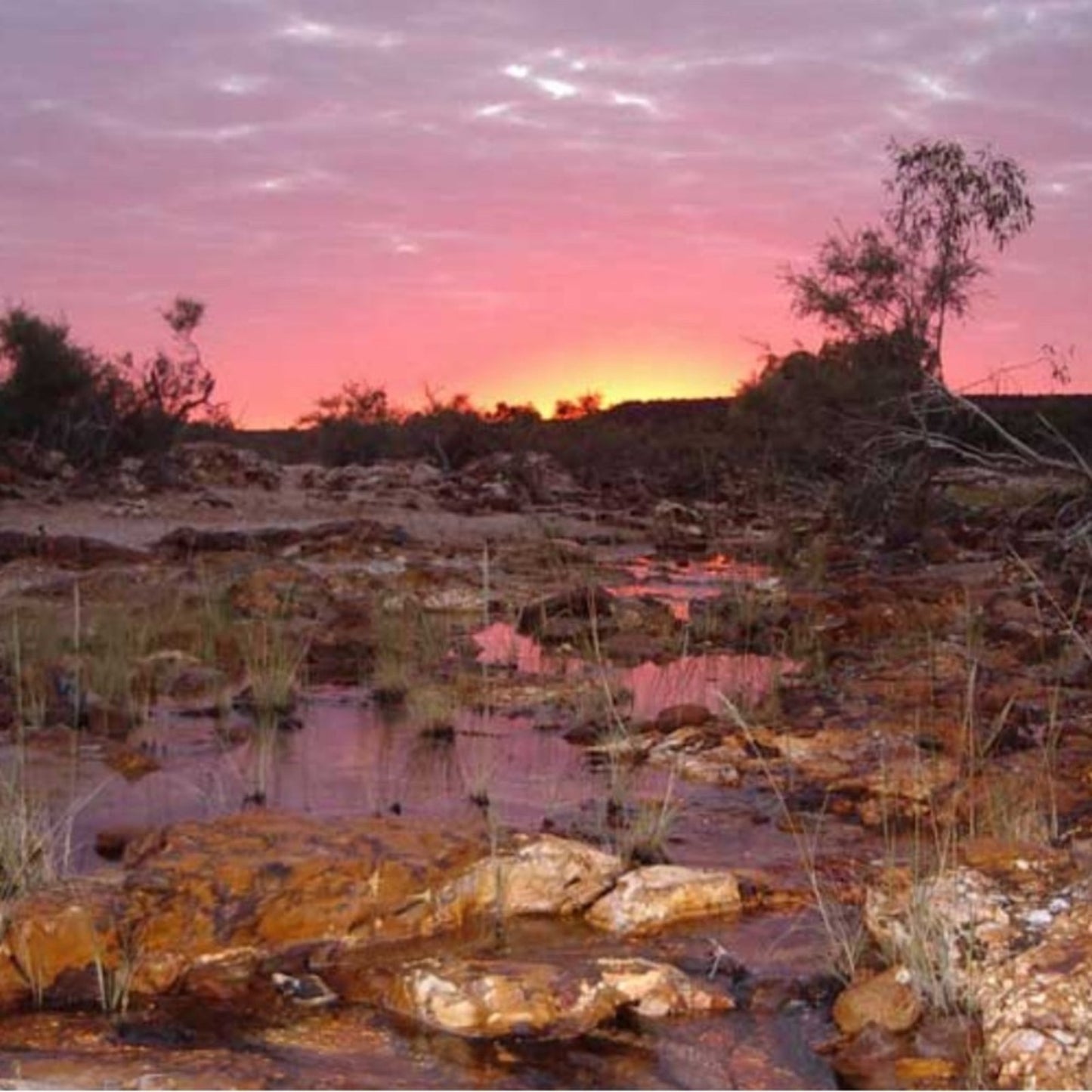 Mookaite Large slab - Purple Lavender combination! MOOKAITESLB-005